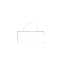 Government support