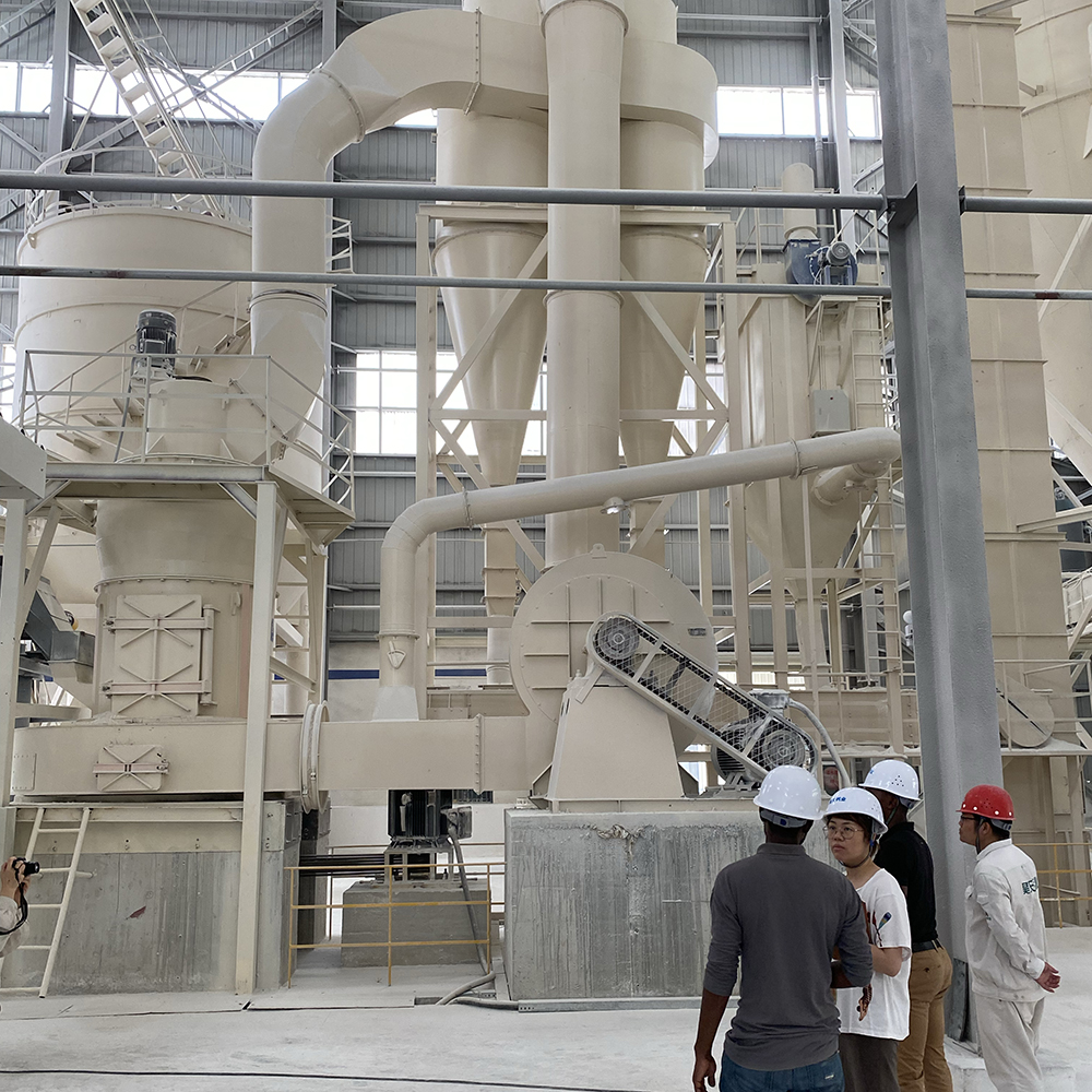CRRM pendulum mill for stone powder plant 11 cronus pendulum mill